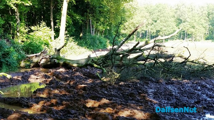 Crisis slaat ook toe in natuur !