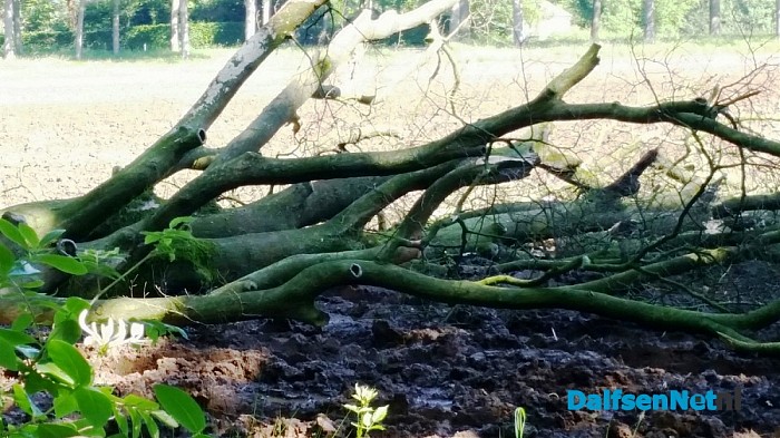 Crisis slaat ook toe in natuur !