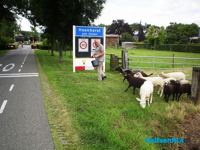 Een kudde overzetten ging vandaag niet vanzelf