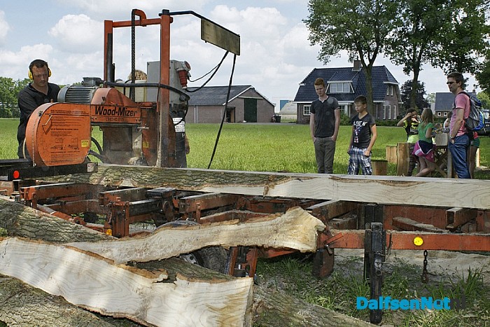 Boomtekenen aan de Meeleweg Nieuwleusen.