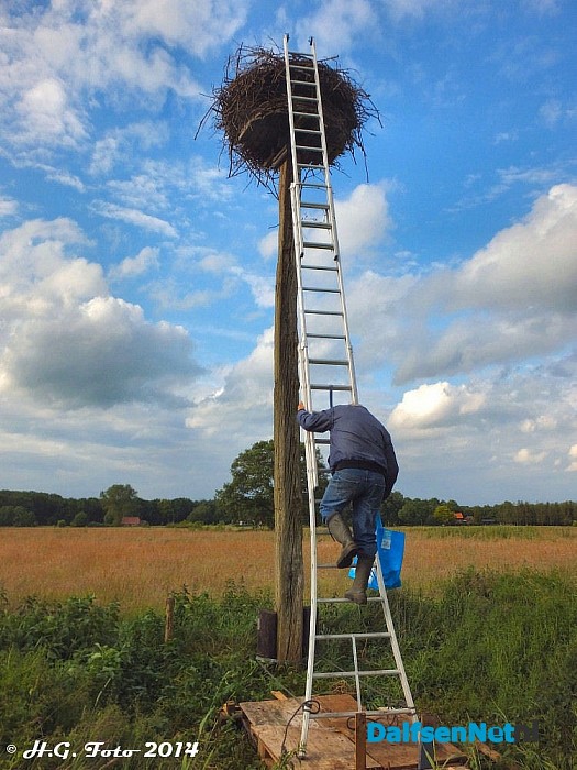 Veel belangstelling vogels ringen Hoonhorst