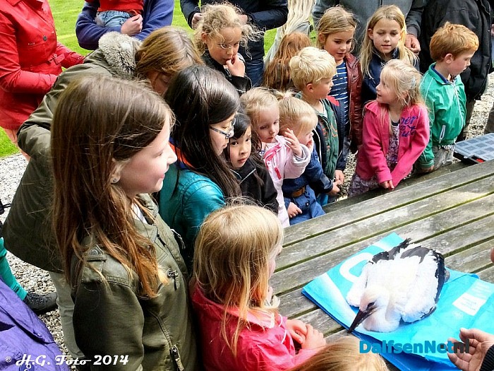 Veel belangstelling vogels ringen Hoonhorst