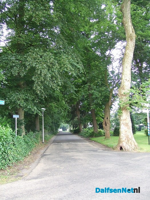 Hoe ‘het veld van Lemele’ in Dalmsholte tot bloei is gekomen…