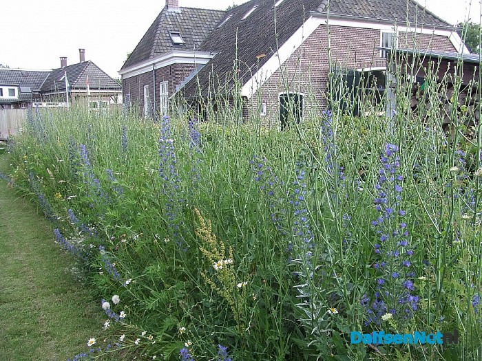 Molenterrein Fakkert ligt er geschoren bij