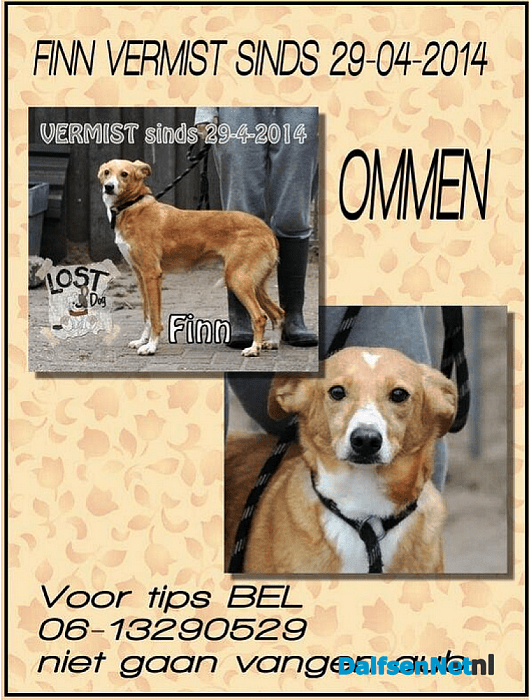 Hond nog steeds zoek: al vanaf 29 april