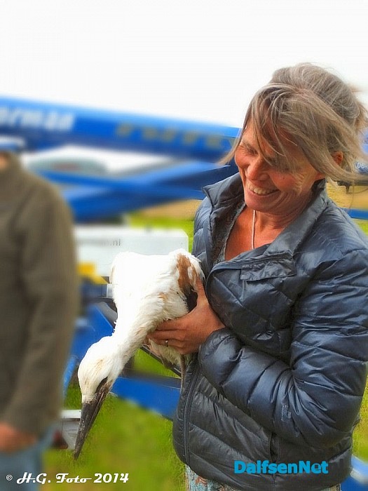 Vogels ringen Bij Boerhoes. - Foto: H.G. Foto