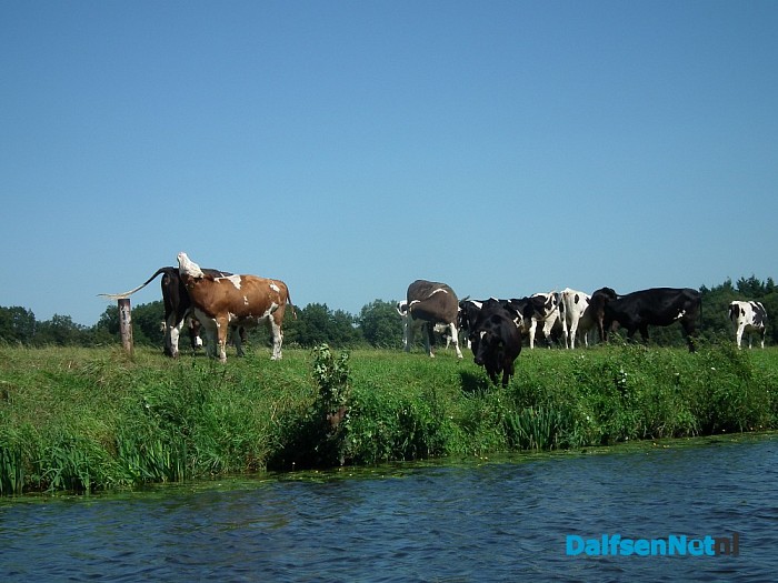 Vakantie? Prachtig weer om Dalfsen vanaf de Vecht te ontdekken! - Foto: Robert Bril