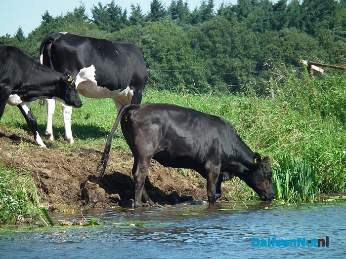 Vakantie? Prachtig weer om Dalfsen vanaf de Vecht te ontdekken! - Foto: Robert Bril