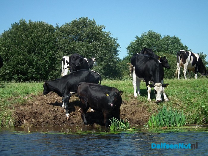 Vakantie? Prachtig weer om Dalfsen vanaf de Vecht te ontdekken! - Foto: Robert Bril