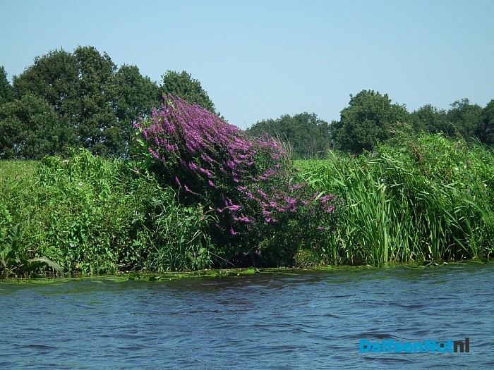 Vakantie? Prachtig weer om Dalfsen vanaf de Vecht te ontdekken! - Foto: Robert Bril