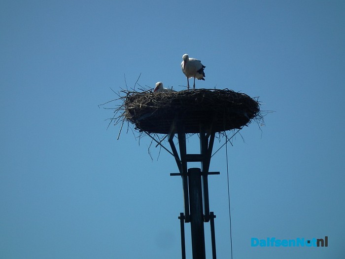 Vakantie? Prachtig weer om Dalfsen vanaf de Vecht te ontdekken! - Foto: Robert Bril