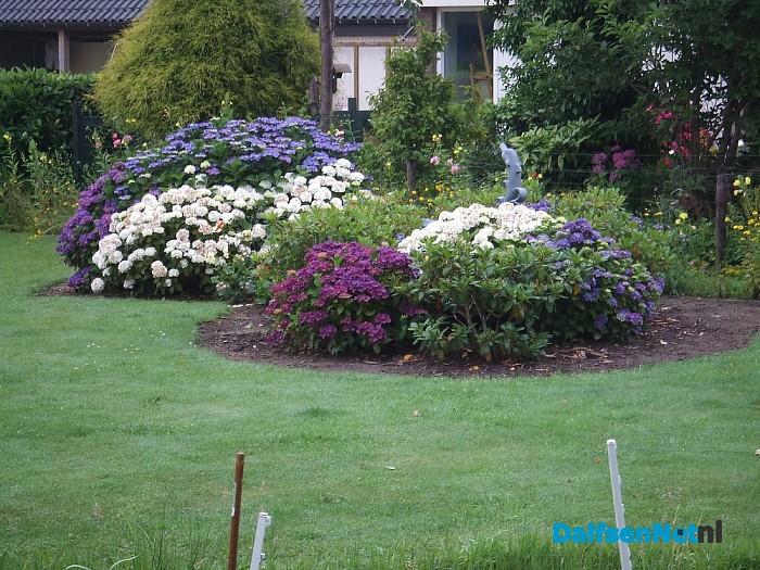 Bloemenpracht ook tijdens het slechte weer heel erg mooi.
