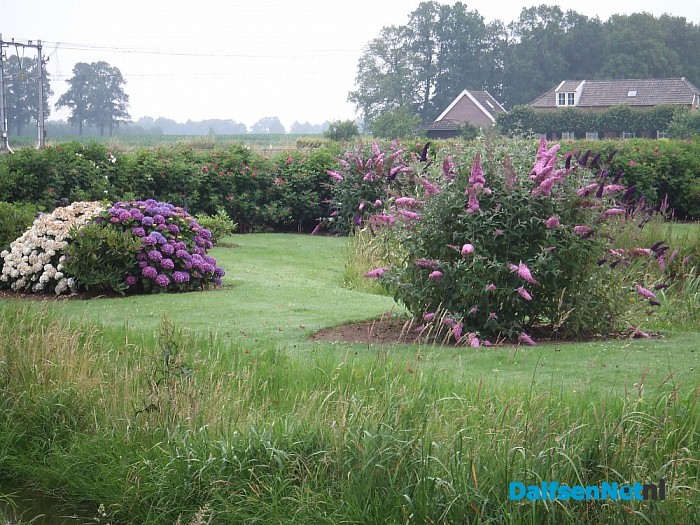 Bloemenpracht ook tijdens het slechte weer heel erg mooi.