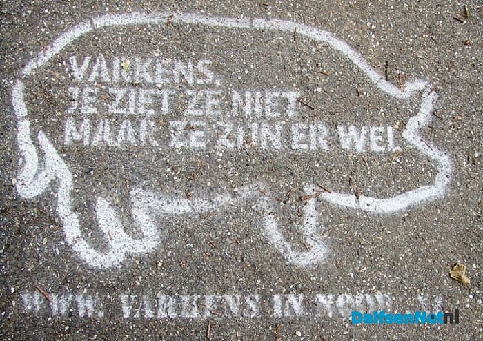 Varkens je ziet ze niet maar ze zijn er wel
