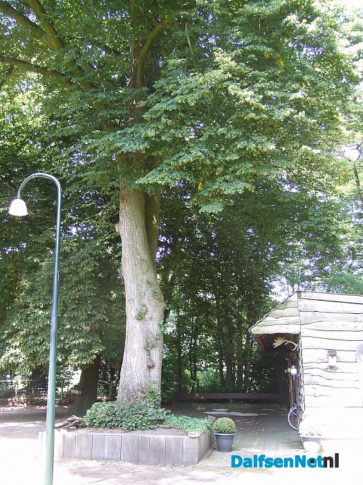 De eerste school in het veld van Lemele