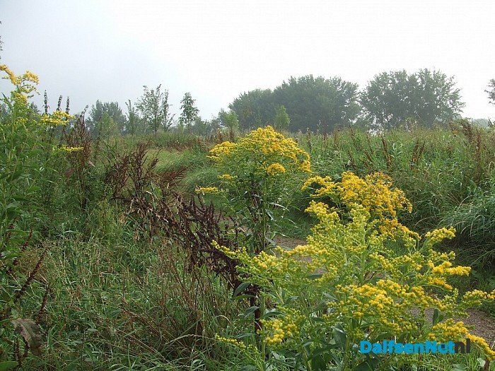 Van vuilnisbelt tot natuurpark “De Stokte”