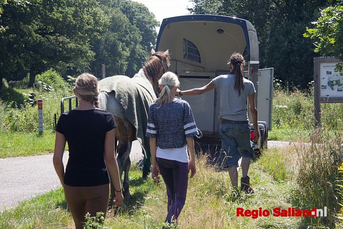 Paard en wagen te water in Laag Zuthem - Foto: Pim Haarsma