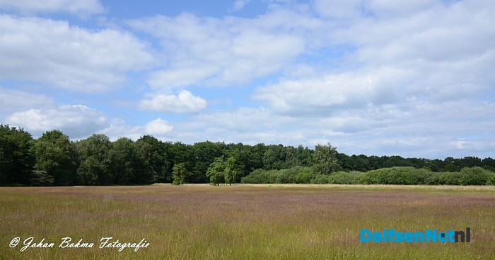 Prachtige plaatjes in het Vechtdal - Foto: Johan Bokma