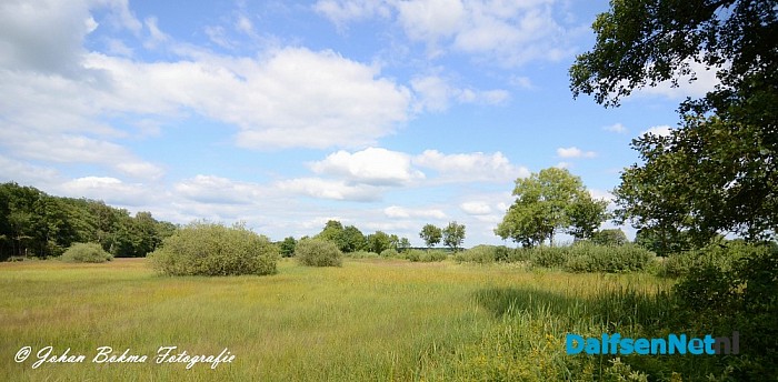 Prachtige plaatjes in het Vechtdal - Foto: Johan Bokma