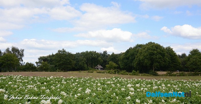 Prachtige plaatjes in het Vechtdal - Foto: Johan Bokma