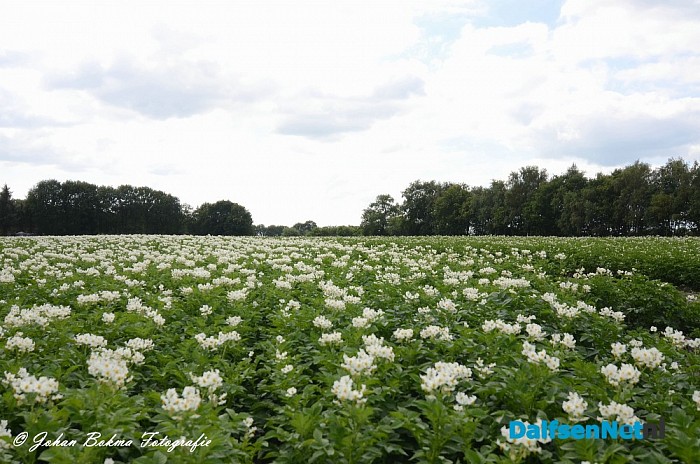 Prachtige plaatjes in het Vechtdal - Foto: Johan Bokma