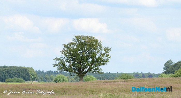 Prachtige plaatjes in het Vechtdal - Foto: Johan Bokma