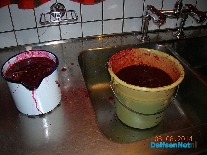 Jansje maakt jam van bramen, heel veel