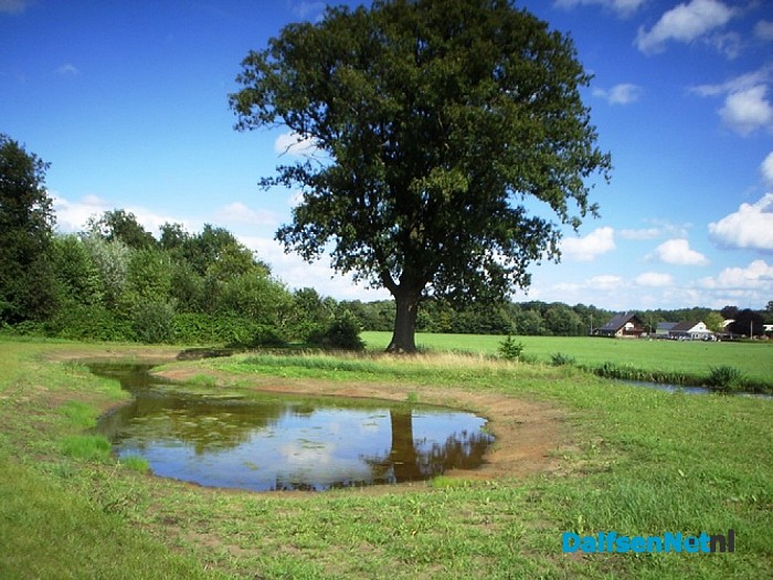 Nieuw natuurgebied ook prachtig mooi