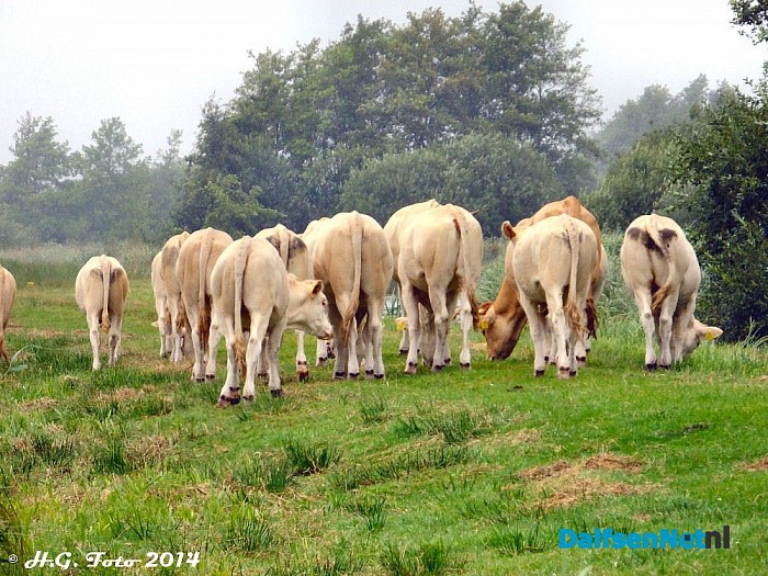 Van uitwaaien hier geen sprake. - Foto: H.G. Foto
