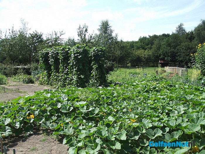 Natuurboerderij Lindehoeve voor kinderen en volwassenen