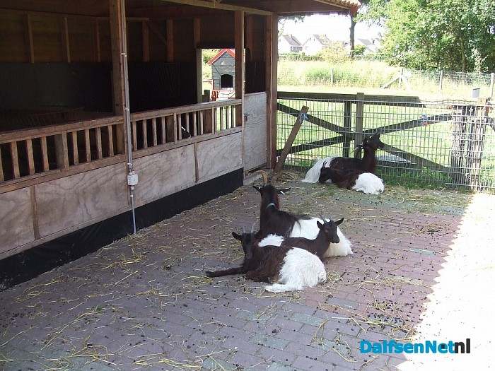 Natuurboerderij Lindehoeve voor kinderen en volwassenen