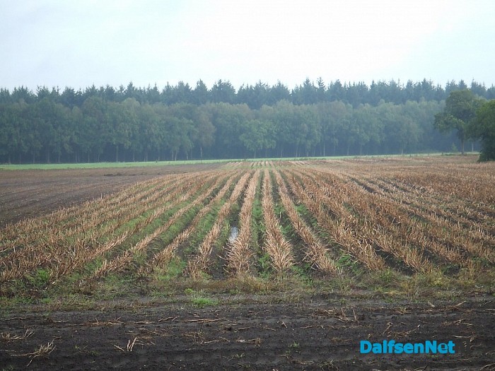 Aardappeloogst moeizaam op gang