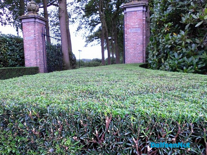 De tuinman van Den Aalshorst is geknipt voor zijn vak