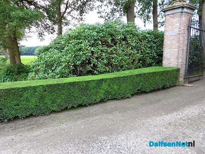 De tuinman van Den Aalshorst is geknipt voor zijn vak