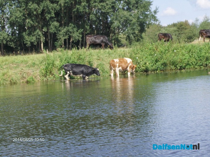 Foto’s van watertoeristen