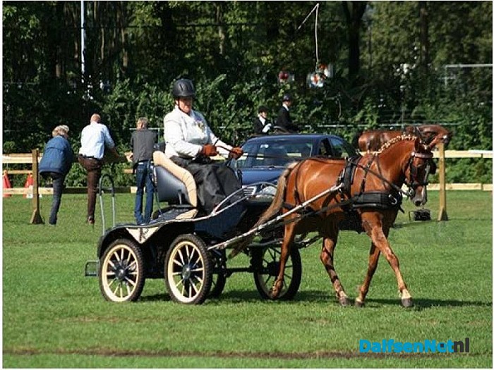 Kampioenen Mennen
