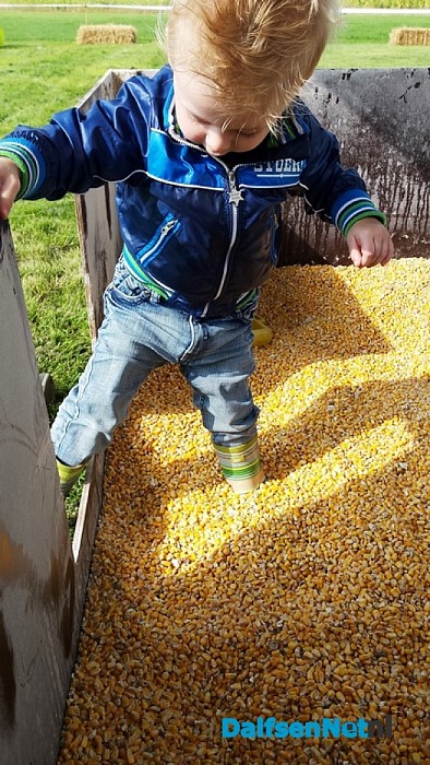 Stap in de Stal