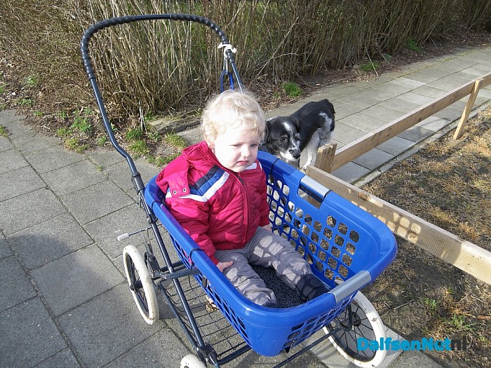 Gastouder ziet rare vogel