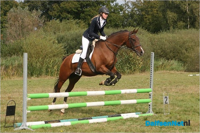 Clubkamioenschap Ponyclub Dalfsen e.o.