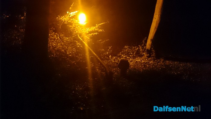 Eenzijdige aanrijding Blauwedijk - Foto: Robert Bril