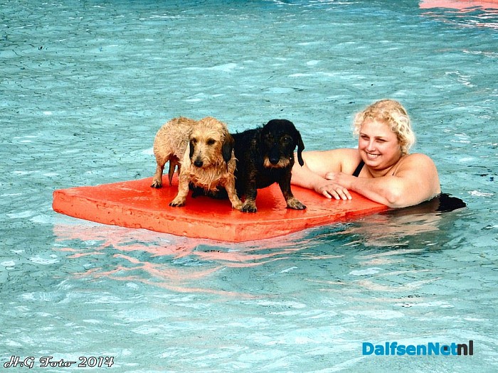 Zwemmen met de hond - Foto: H.G. Foto