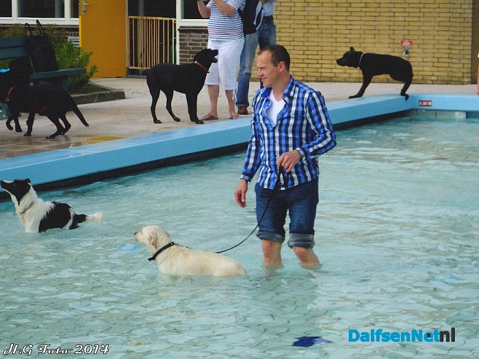 Zwemmen met de hond - Foto: H.G. Foto