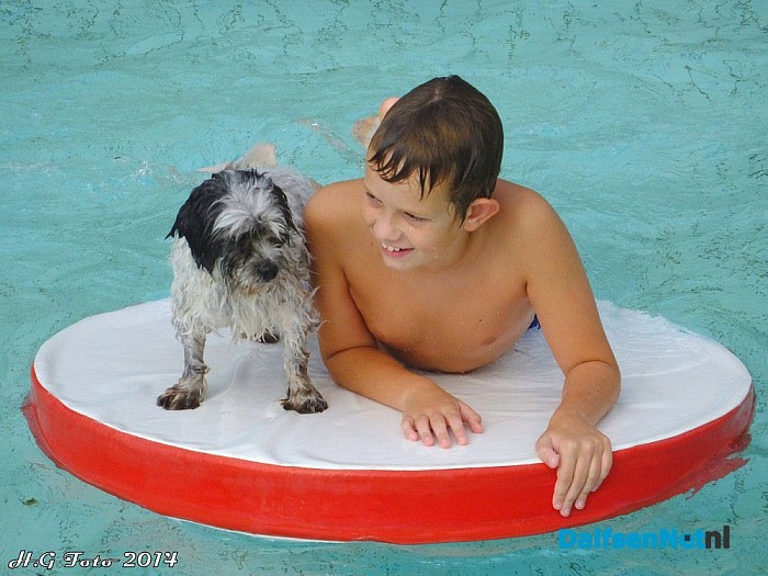 Zwemmen met de hond - Foto: H.G. Foto