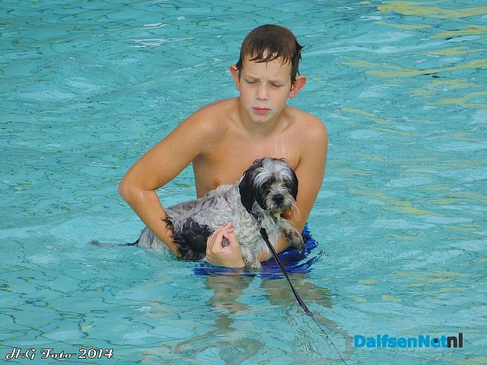 Zwemmen met de hond - Foto: H.G. Foto