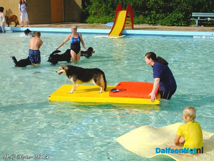 Zwemmen met de hond - Foto: H.G. Foto