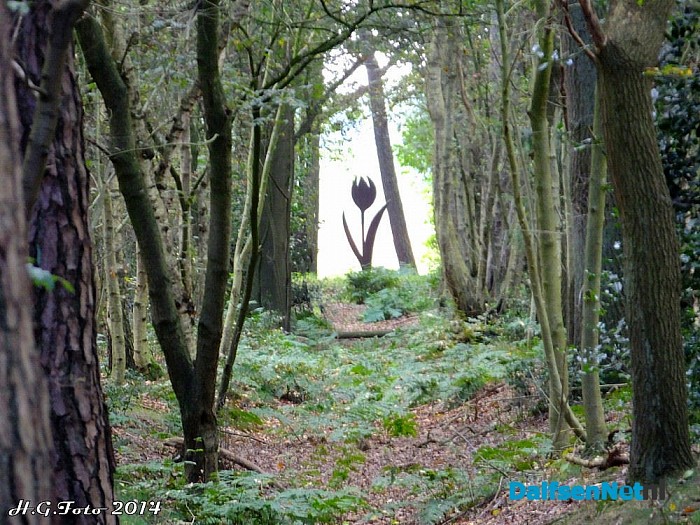 Verborgen kunst. - Foto: H.G. Foto