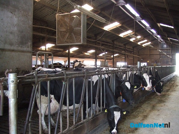 Open dag op de boerderij van Leo Broeks