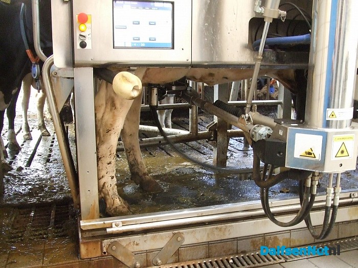 Open dag op de boerderij van Leo Broeks