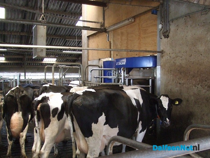 Open dag op de boerderij van Leo Broeks