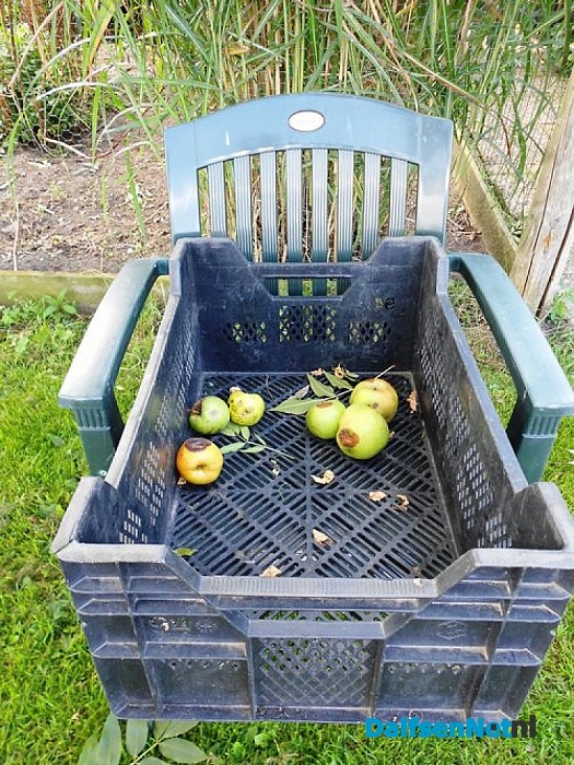 Dorpsappels zeer in trek in Duurzaam Hoonhorst